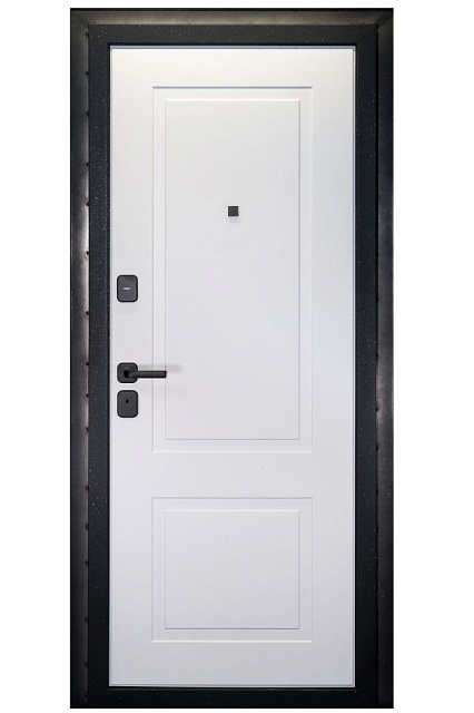 Дверь NEO